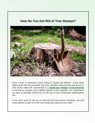 What Is the Cheapest Way to Get Rid of a Tree Stump?