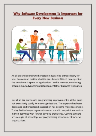 Why Software Development Is Important for Every New Business