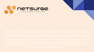 WordPress Website Development - Netsurge