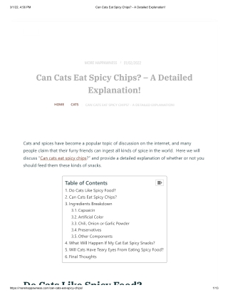 Can Cats Eat Spicy Chips_ - A Detailed Explanation!