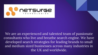 Digital Marketing Company - Netsurge
