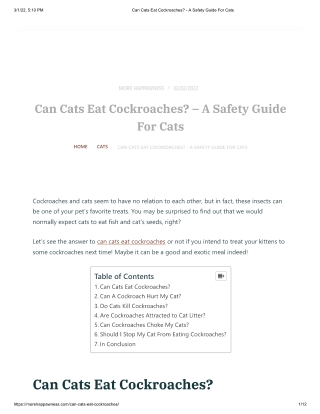 Can Cats Eat Cockroaches - A Safety Guide For Cats