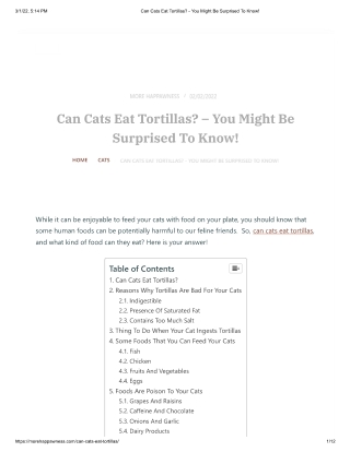 Can Cats Eat Tortillas - You Might Be Surprised To Know!