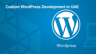 Custom WordPress Development in UAE