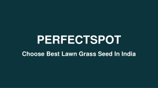 10 Best Lawn Grass Seed In India