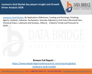 Isostearic Acid Market key players Insight and Growth Driver Analysis 2028