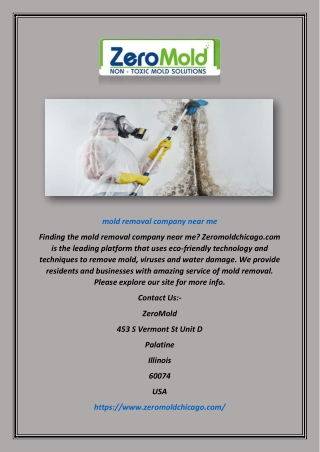 Mold Removal Company Near Me | Zeromoldchicago.com