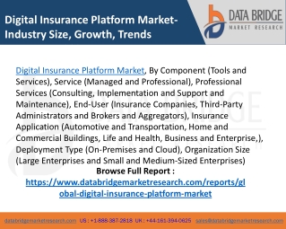 Digital Insurance Platform Market