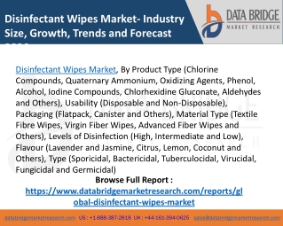 Disinfectant Wipes Market