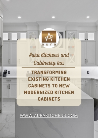 Transforming Existing Kitchen Cabinets to New Modernized Kitchen Cabinets