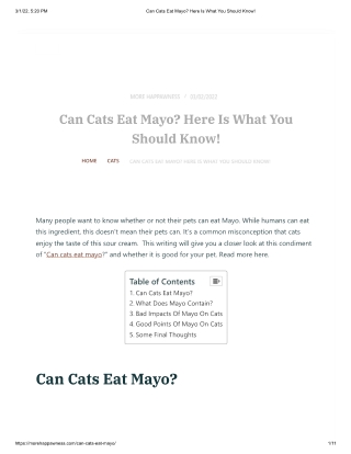 Can Cats Eat Mayo - Here Is What You Should Know!