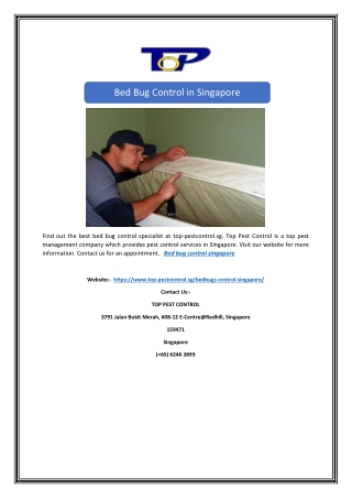 Bed Bug Control in Singapore