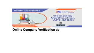 online Compnay verification api