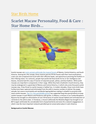 Scarlet Macaw Personality, Food & Care : Star Home Birds…