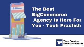 Hire BigCommerce developers for your online business - Tech Prastish