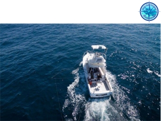 Fishing Charters Airlie Beach