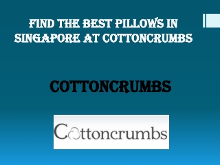Best Pillows In Singapore - Cottoncrumbs