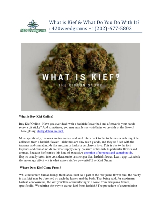 What is Kief & What Do You Do With It? : 420weedgrams  1(202)-677-5802
