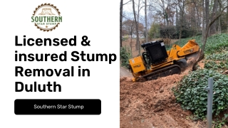 Licensed & insured Stump Removal in Duluth