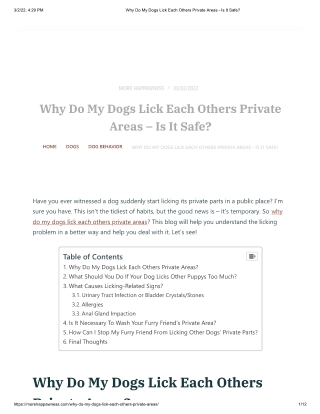 Why Do My Dogs Lick Each Others Private Areas - Is It Safe_