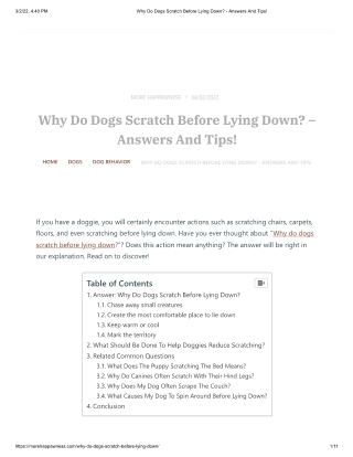 Why Do Dogs Scratch Before Lying Down - Answers And Tips!