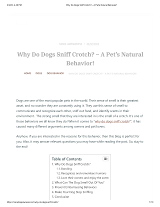 Why Do Dogs Sniff Crotch_ - A Pet’s Natural Behavior!