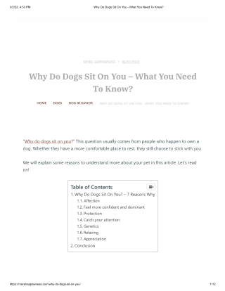 Why Do Dogs Sit On You - What You Need To Know_