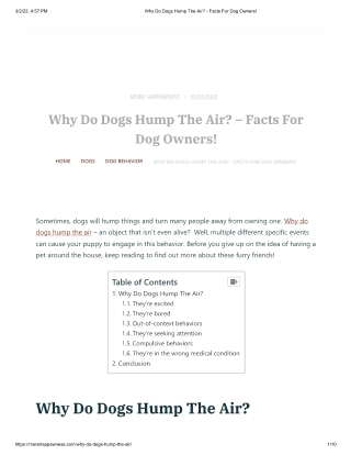 Why Do Dogs Hump The Air_ - Facts For Dog Owners!