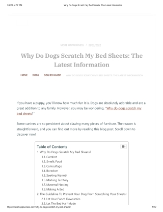 Why Do Dogs Scratch My Bed Sheets_ The Latest Information