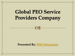 Global PEO Service Providers Company