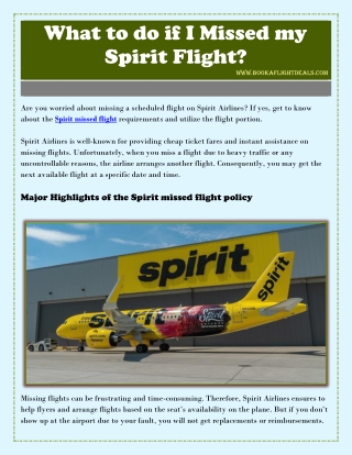 What to do if I Missed my Spirit Flight