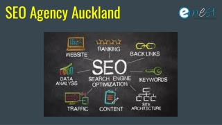 SEO Agency  in Auckland