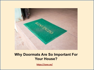 Buy Doormats in Dubai, Abu Dhabi, UAE | Importance of Doormats at houses