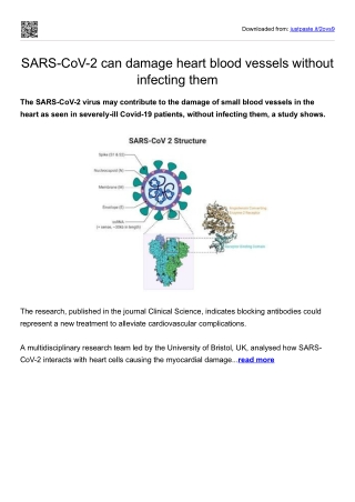 SARS-CoV-2 can damage heart blood vessels without infecting them