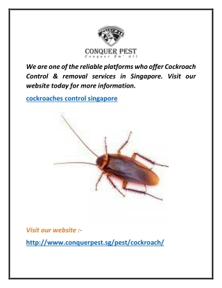 Cockroaches Control Singapore  Conquer Pest