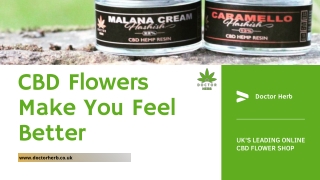 CBD Flowers Make You Feel Better - Doctor Herb