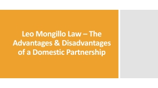 Leo Mongillo Law – The Advantages & Disadvantages of a Domestic Partnership