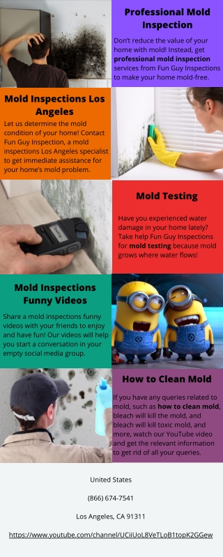 Professional Mold Inspection