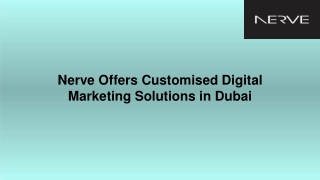 Nerve Offers Customised Digital Marketing Solutions in Dubai
