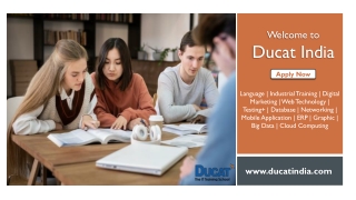 Apply Now for MERN Training Classes in Noida