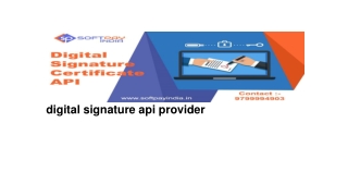 Digital signature api provider