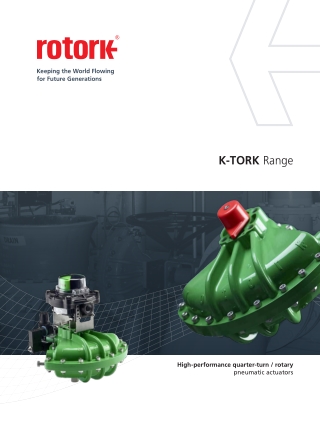 Rotork Handwheel Manual Override | Instronline