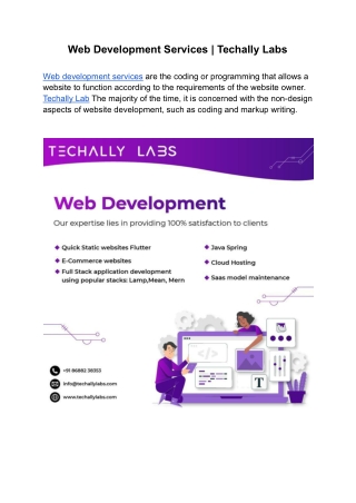 Web Development Services | Techally Labs