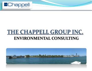 THE CHAPPELL GROUP INC.