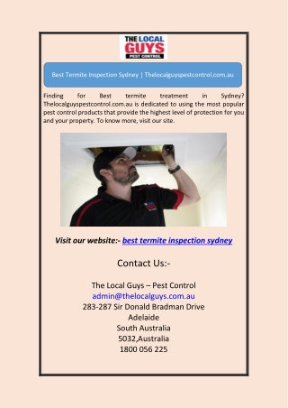 Best Termite Inspection Sydney | Thelocalguyspestcontrol.com.au