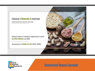 Vitamin E Market