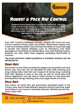 pest and termite control in tucson | pack rat extermination Tucson