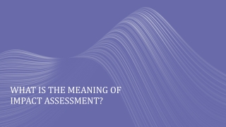 What Is The Meaning Of Impact Assessment