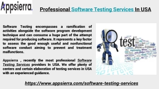 Professional Software Testing Services In USA