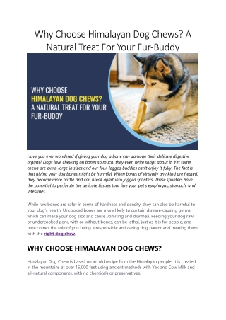 Why Choose Himalayan Dog Chews? A Natural Treat For Your Fur-Buddy